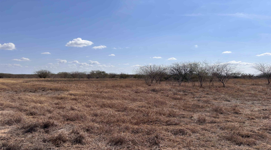 CR 119, Alice, Texas 78332, ,Land,For Sale,CR 119,20261145