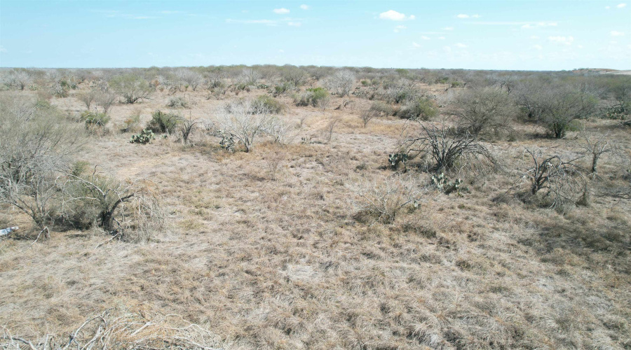 CR 119, Alice, Texas 78332, ,Land,For Sale,CR 119,20261145