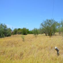 3024 S US Highway 83, ZAPATA, Texas 78076, ,Land,For Sale,3024 S US Highway 83,20261159