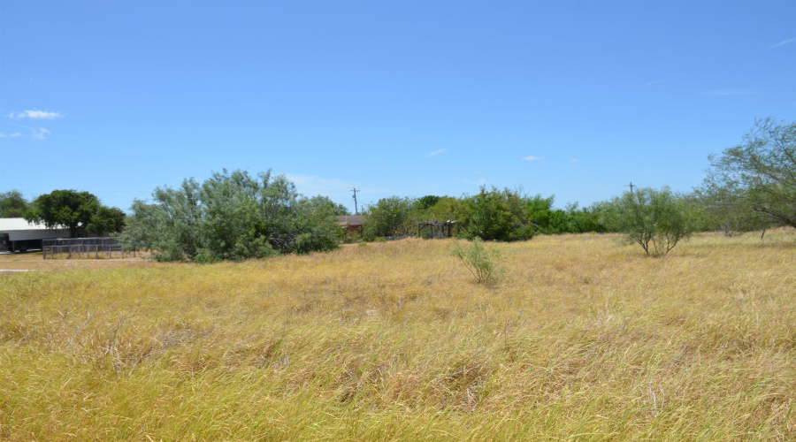 3024 S US Highway 83, ZAPATA, Texas 78076, ,Land,For Sale,3024 S US Highway 83,20261159