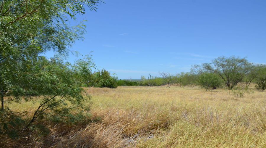 3024 S US Highway 83, ZAPATA, Texas 78076, ,Land,For Sale,3024 S US Highway 83,20261159