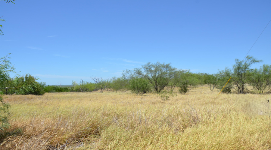 3024 S US Highway 83, ZAPATA, Texas 78076, ,Land,For Sale,3024 S US Highway 83,20261159
