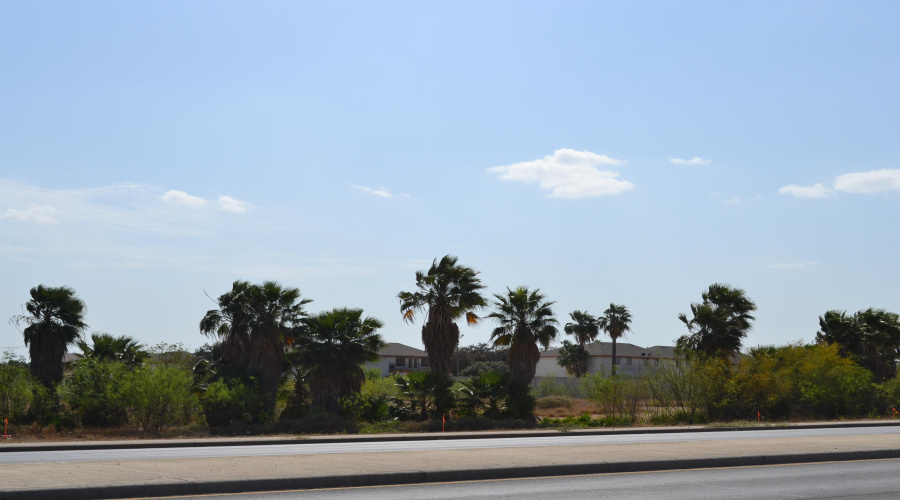 000 E Saunders St, Laredo, Texas 78041, ,Land,For Sale,000 E Saunders St,20261165