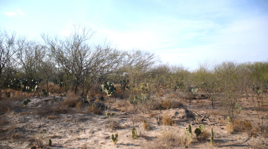 ABST 478 ABST 478 POR 46 B, Laredo, Texas 78043, ,Land,For Sale,ABST 478 ABST 478 POR 46 B,20261168