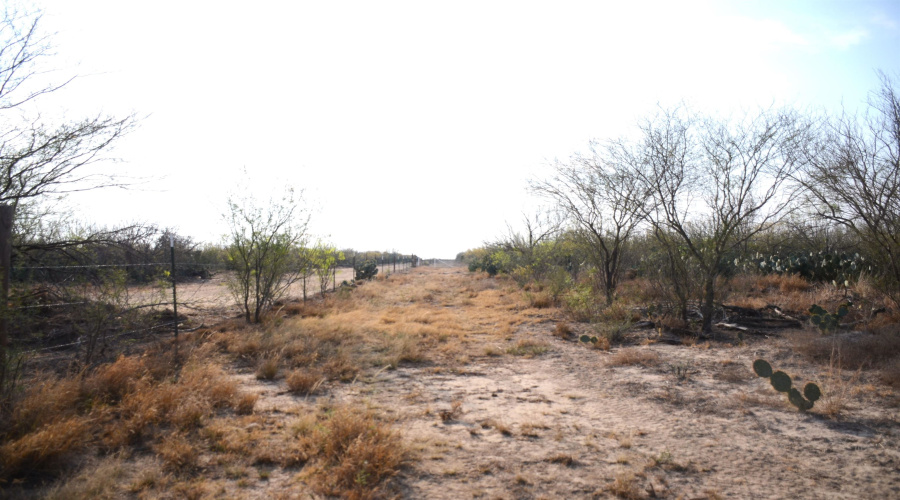 ABST 478 ABST 478 POR 46 B, Laredo, Texas 78043, ,Land,For Sale,ABST 478 ABST 478 POR 46 B,20261168