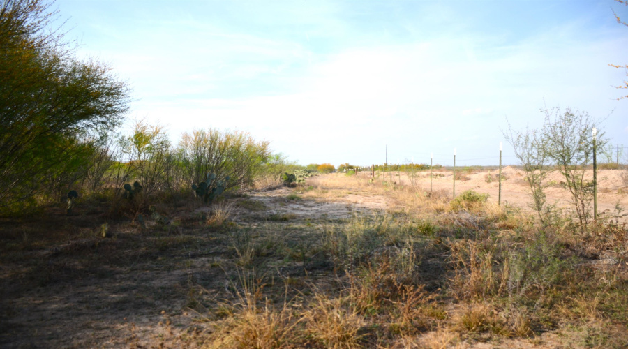 ABST 478 ABST 478 POR 46 B, Laredo, Texas 78043, ,Land,For Sale,ABST 478 ABST 478 POR 46 B,20261168