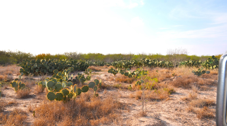 ABST 478 ABST 478 POR 46 B, Laredo, Texas 78043, ,Land,For Sale,ABST 478 ABST 478 POR 46 B,20261168