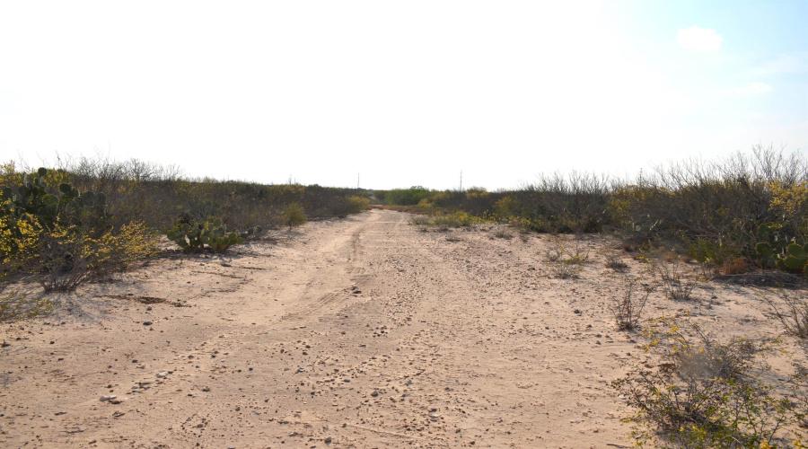 ABST 478 ABST 478 POR 46 B, Laredo, Texas 78043, ,Land,For Sale,ABST 478 ABST 478 POR 46 B,20261168