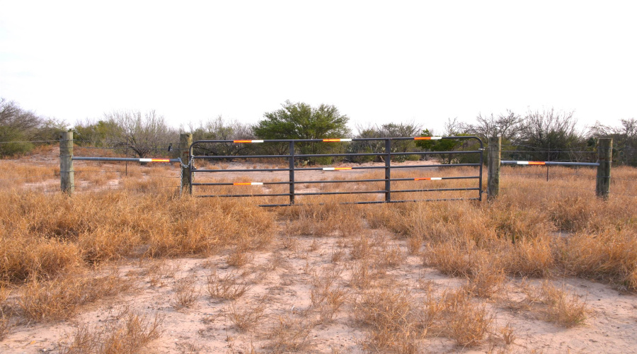 ABST 478 ABST 478 POR 46 B, Laredo, Texas 78043, ,Land,For Sale,ABST 478 ABST 478 POR 46 B,20261168