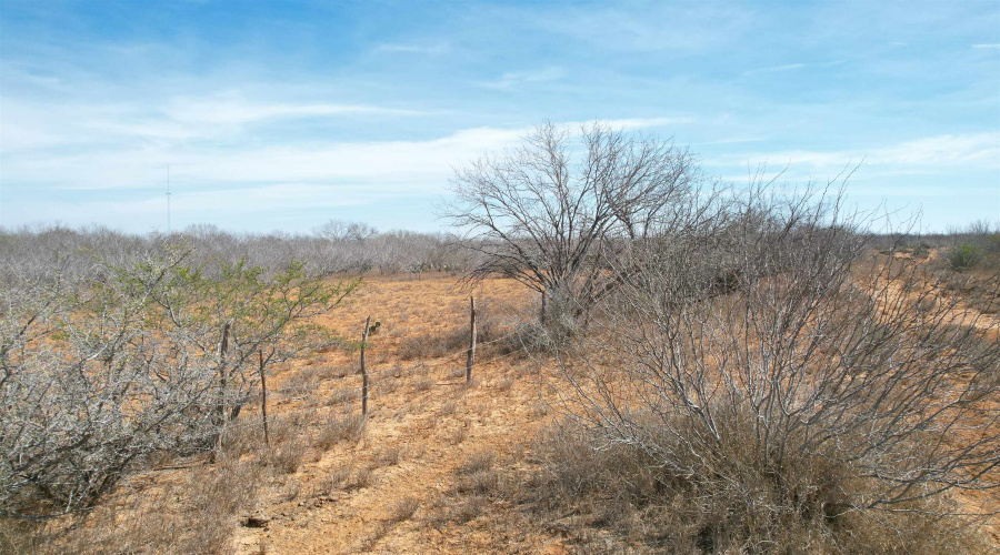 Tract 59-B, Laredo, Texas 78045, ,Land,For Sale,Tract 59-B,20261198