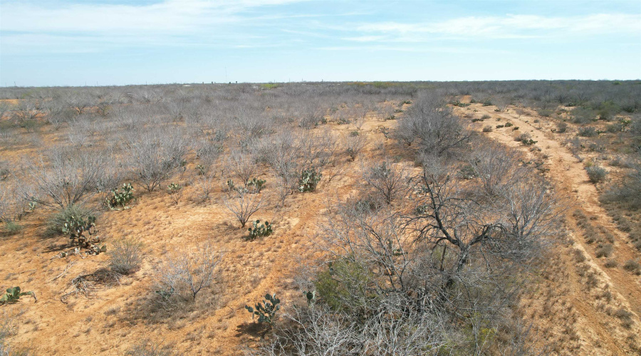 Tract 59-B, Laredo, Texas 78045, ,Land,For Sale,Tract 59-B,20261198