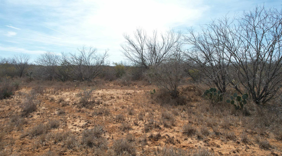 Tract 59-B, Laredo, Texas 78045, ,Land,For Sale,Tract 59-B,20261198