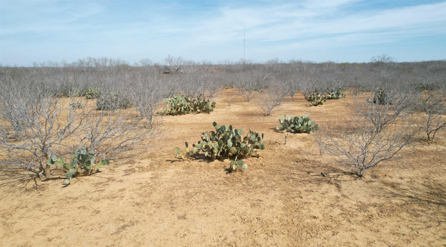 Tract 59-B, Laredo, Texas 78045, ,Land,For Sale,Tract 59-B,20261198