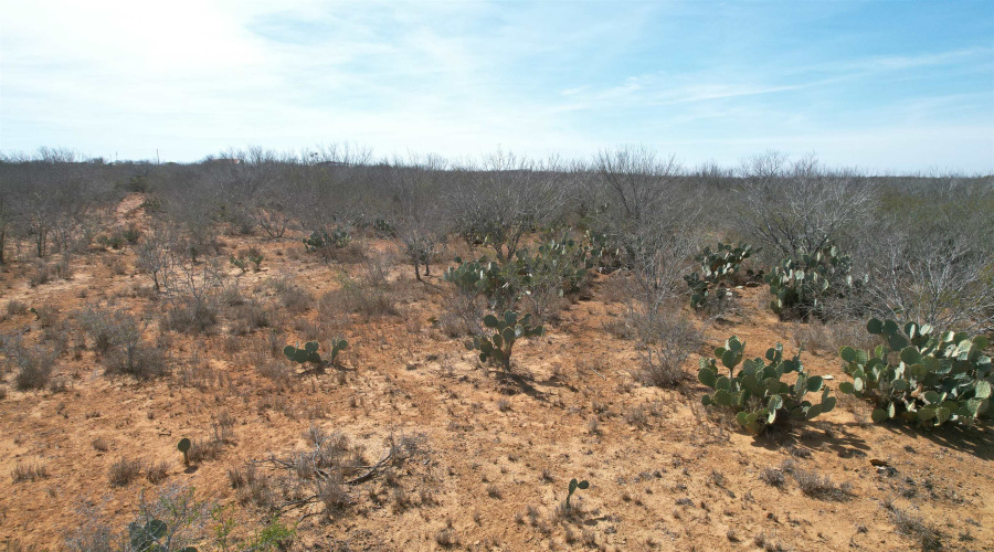 Tract 59-B, Laredo, Texas 78045, ,Land,For Sale,Tract 59-B,20261198