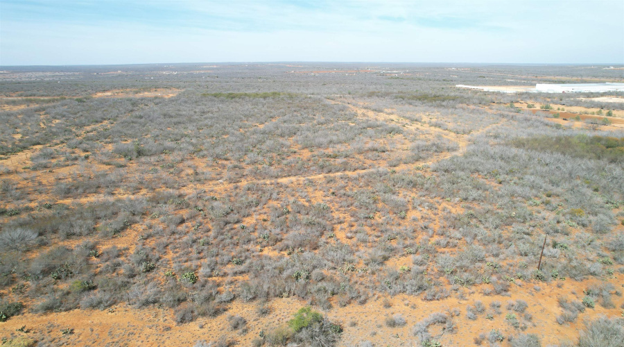 Tract 59-B, Laredo, Texas 78045, ,Land,For Sale,Tract 59-B,20261198