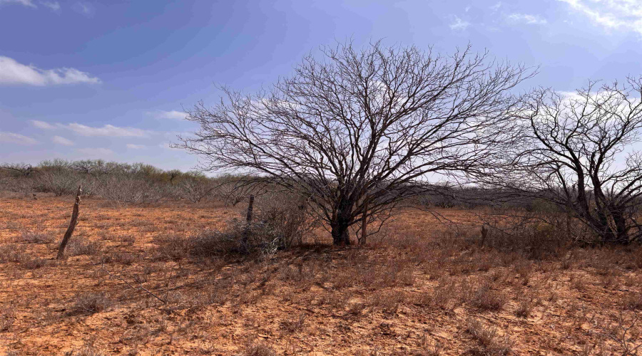 Tract 59-B, Laredo, Texas 78045, ,Land,For Sale,Tract 59-B,20261198