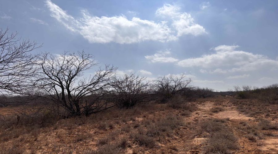 Tract 59-B, Laredo, Texas 78045, ,Land,For Sale,Tract 59-B,20261198