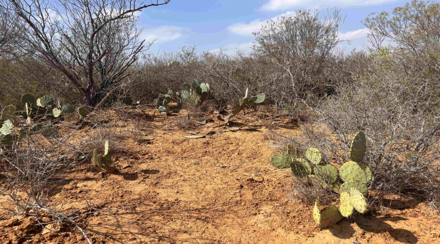 Tract 59-B, Laredo, Texas 78045, ,Land,For Sale,Tract 59-B,20261198