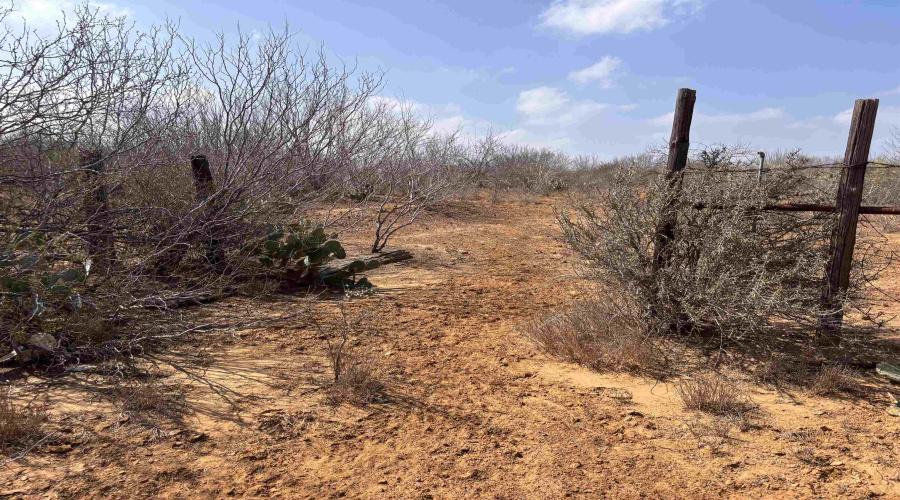 Tract 59-B, Laredo, Texas 78045, ,Land,For Sale,Tract 59-B,20261198