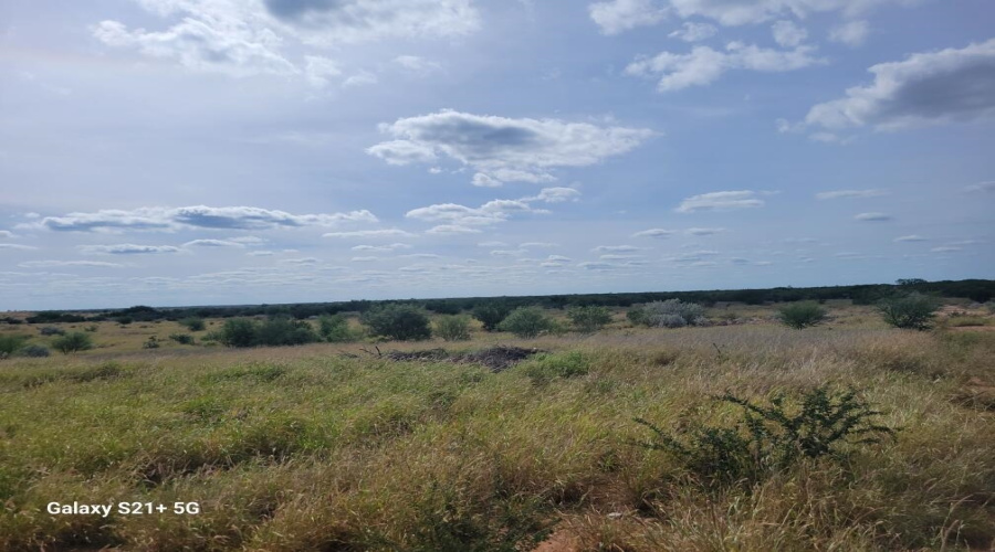 26225 N U.S. Hwy 83, Laredo, Texas 78045, ,Land,For Sale,26225 N U.S. Hwy 83,20261205