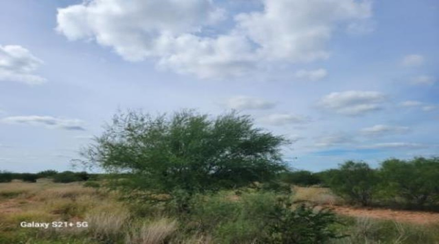 26225 N U.S. Hwy 83, Laredo, Texas 78045, ,Land,For Sale,26225 N U.S. Hwy 83,20261205