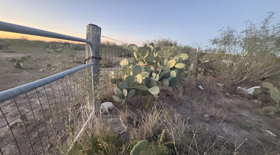 1280 Camino Don Antonio, Laredo, Texas 78041, ,Land,For Sale,1280 Camino Don Antonio,20255533