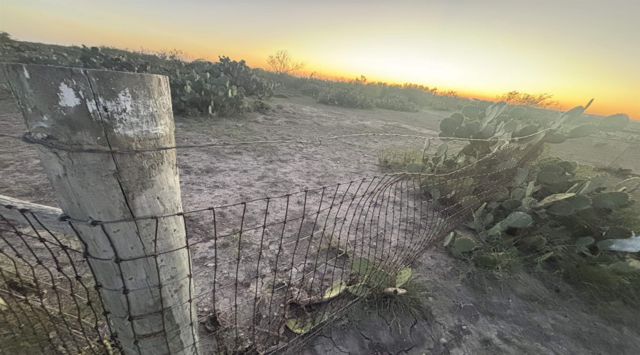 1280 Camino Don Antonio, Laredo, Texas 78041, ,Land,For Sale,1280 Camino Don Antonio,20255533