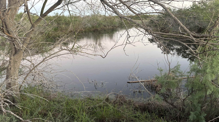 1280 Camino Don Antonio, Laredo, Texas 78041, ,Land,For Sale,1280 Camino Don Antonio,20255533