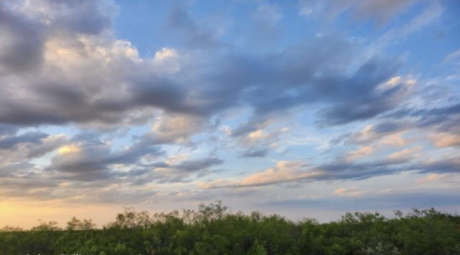 9202 U.S. Hwy 359, Laredo, Texas 78044, ,Land,For Sale,9202 U.S. Hwy 359,20261210