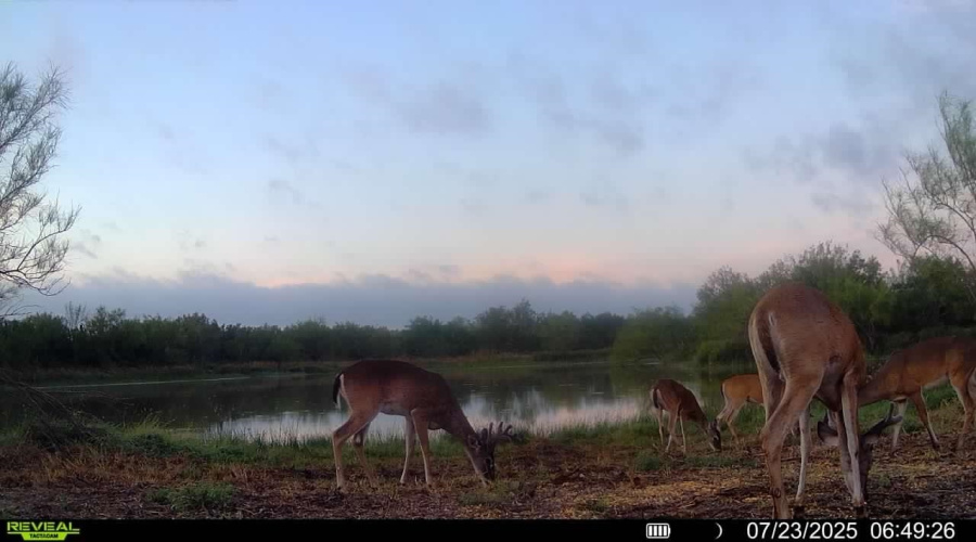 NW 1/2 OF TRS 33 THRU 40 SEC 40 AND 57 THRU 64, Fowlerton, Texas 78021, ,Land,For Sale,NW 1/2 OF TRS 33 THRU 40 SEC 40 AND 57 THRU 64,20261214