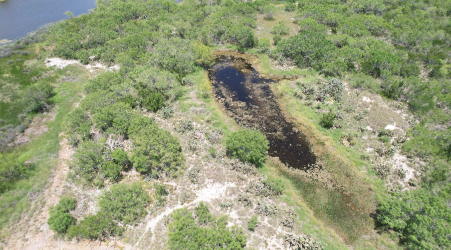 NW 1/2 OF TRS 33 THRU 40 SEC 40 AND 57 THRU 64, Fowlerton, Texas 78021, ,Land,For Sale,NW 1/2 OF TRS 33 THRU 40 SEC 40 AND 57 THRU 64,20261214