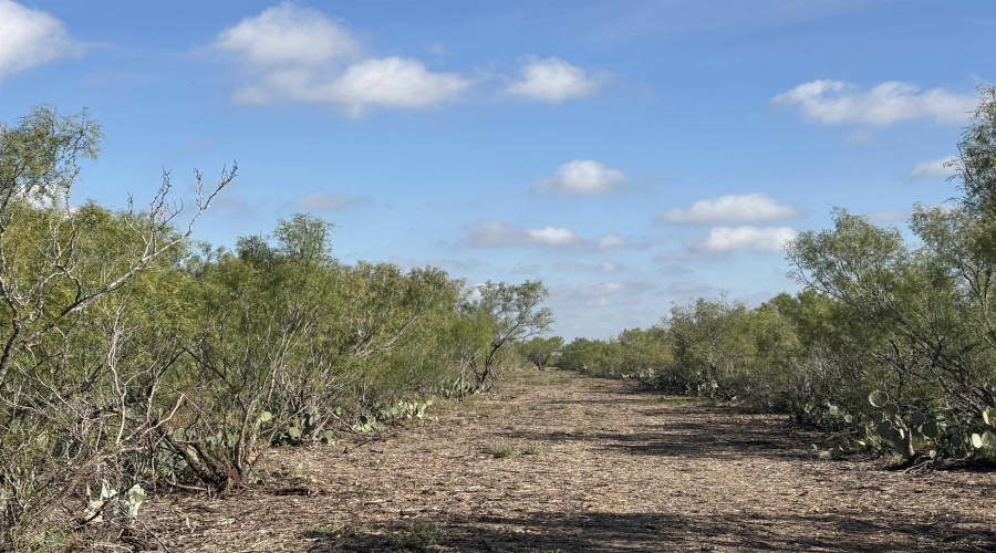 NW 1/2 OF TRS 33 THRU 40 SEC 40 AND 57 THRU 64, Fowlerton, Texas 78021, ,Land,For Sale,NW 1/2 OF TRS 33 THRU 40 SEC 40 AND 57 THRU 64,20261214