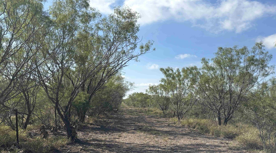 NW 1/2 OF TRS 33 THRU 40 SEC 40 AND 57 THRU 64, Fowlerton, Texas 78021, ,Land,For Sale,NW 1/2 OF TRS 33 THRU 40 SEC 40 AND 57 THRU 64,20261214