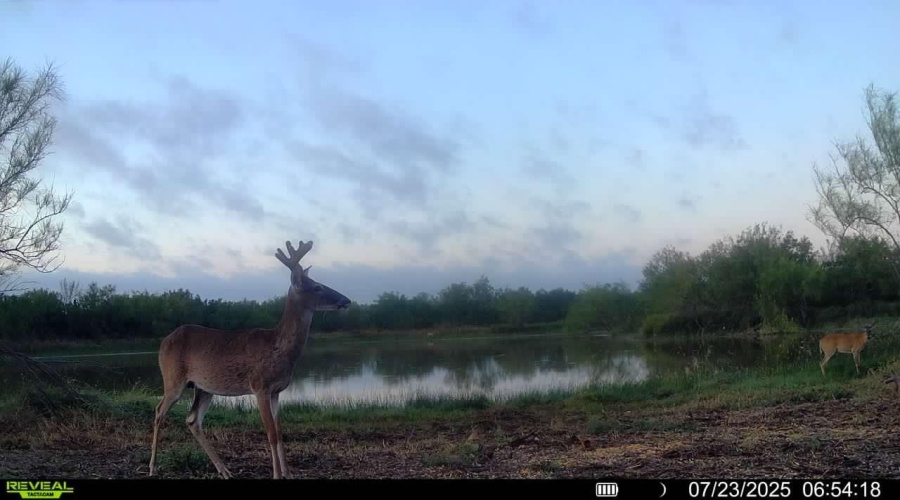 NW 1/2 OF TRS 33 THRU 40 SEC 40 AND 57 THRU 64, Fowlerton, Texas 78021, ,Land,For Sale,NW 1/2 OF TRS 33 THRU 40 SEC 40 AND 57 THRU 64,20261214