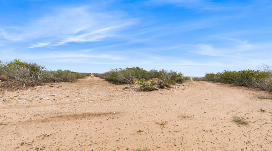 TR 25 Unit 2, Freer, Texas 78384-0337, ,Land,For Sale,TR 25 Unit 2,20261251