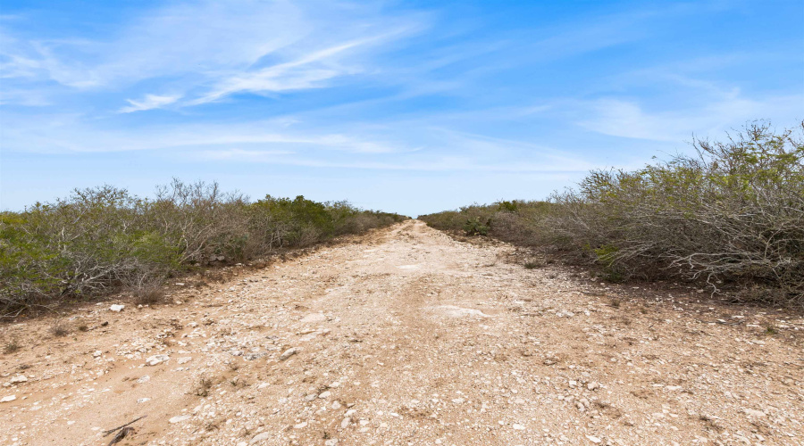 TR 25 Unit 2, Freer, Texas 78384-0337, ,Land,For Sale,TR 25 Unit 2,20261251