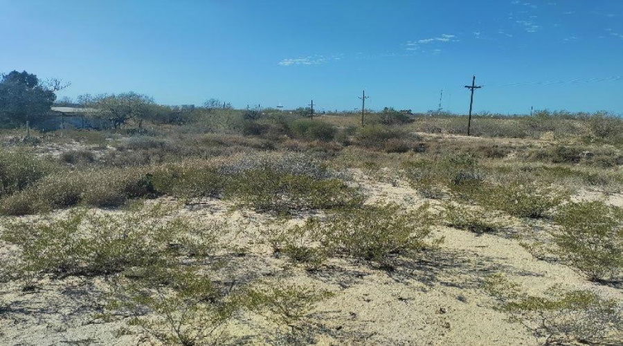 ABST 280 POR 10, Laredo, Texas 78045, ,Land,For Sale,ABST 280 POR 10,20261266