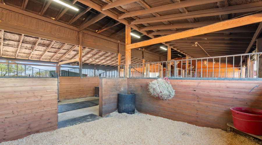 225 Hornet, Laredo, Texas 78045, ,Land,For Sale,225 Hornet,20261272