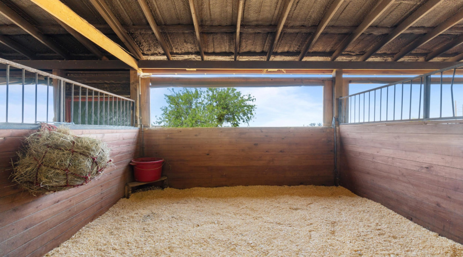 225 Hornet, Laredo, Texas 78045, ,Land,For Sale,225 Hornet,20261272