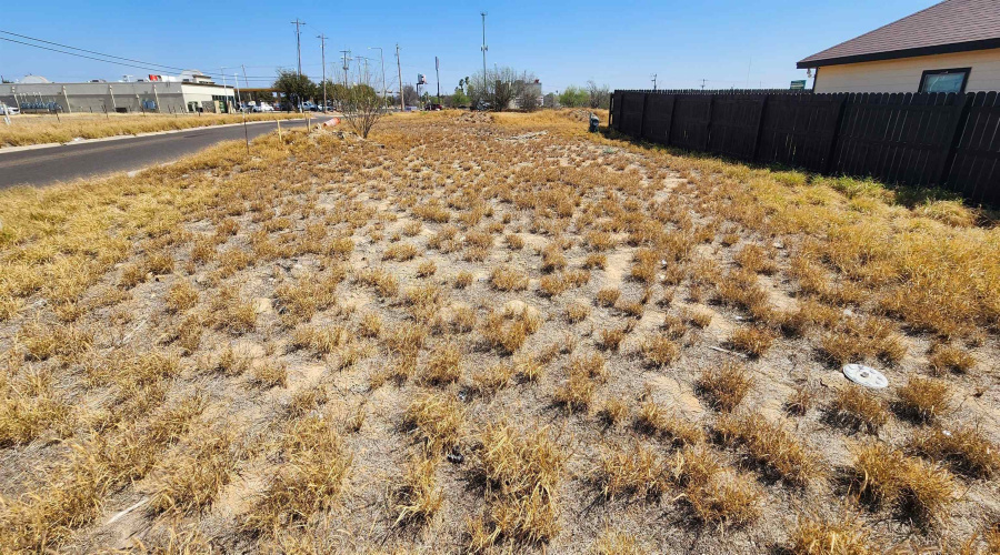 4501 Vanessita Crt, Laredo, Texas 78046, ,Land,For Sale,4501 Vanessita Crt,20261273