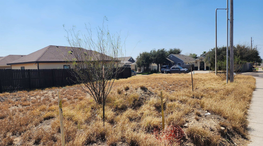 4501 Vanessita Crt, Laredo, Texas 78046, ,Land,For Sale,4501 Vanessita Crt,20261273