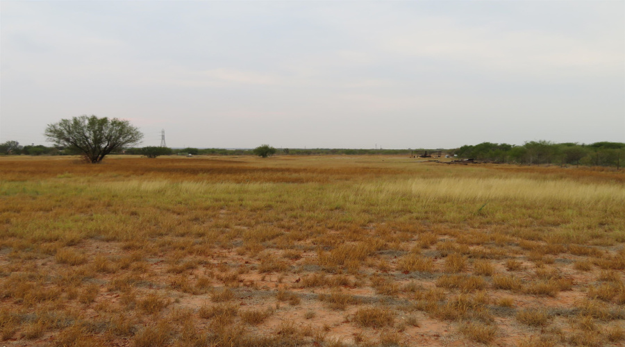 1035 Pena Rd., Cotulla, Texas 78014, ,Land,For Sale,1035 Pena Rd.,20261318