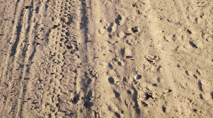 1000 Zapata Hwy, Laredo, Texas 78046, ,Land,For Sale,1000 Zapata Hwy,20261335