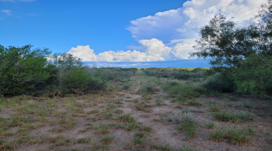 1000 Zapata Hwy, Laredo, Texas 78046, ,Land,For Sale,1000 Zapata Hwy,20261335