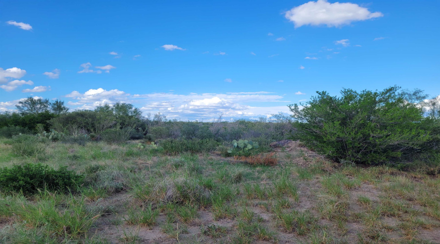 1000 Zapata Hwy, Laredo, Texas 78046, ,Land,For Sale,1000 Zapata Hwy,20261335