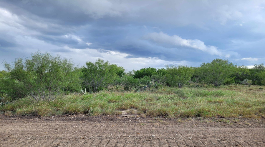 1000 Zapata Hwy, Laredo, Texas 78046, ,Land,For Sale,1000 Zapata Hwy,20261335