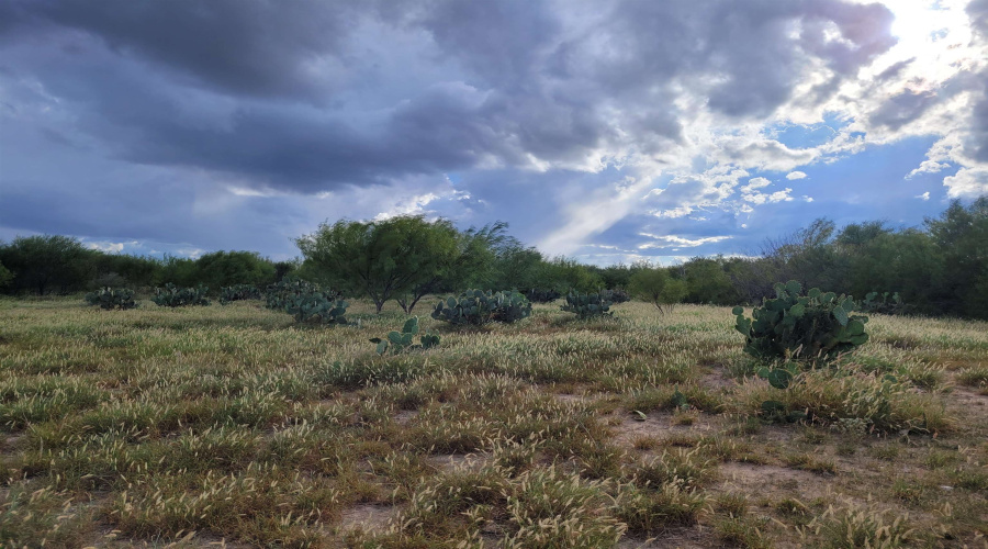 1000 Zapata Hwy, Laredo, Texas 78046, ,Land,For Sale,1000 Zapata Hwy,20261335