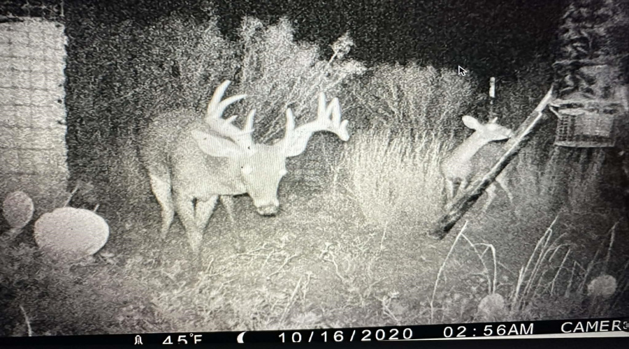 887 Camino Don Antonio, Laredo, Texas 78041, ,Land,For Sale,887 Camino Don Antonio,20261339