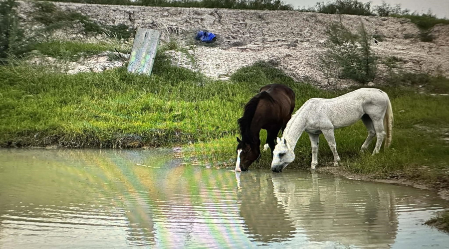 887 Camino Don Antonio, Laredo, Texas 78041, ,Land,For Sale,887 Camino Don Antonio,20261339