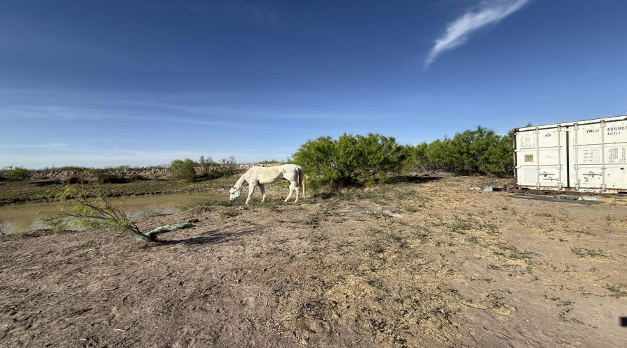 887 Camino Don Antonio, Laredo, Texas 78041, ,Land,For Sale,887 Camino Don Antonio,20261339